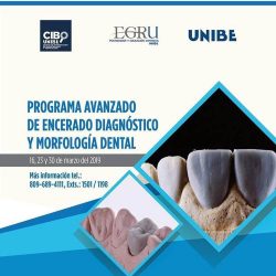 Programa avanzado de encerado y morfologia dental UNIBE