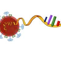 Investigadores dominicanos trabajan en la secuenciación del virus Causante del COVID-19